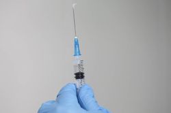 Phát triển vaccine từ thực vật để kiểm soát bệnh truyền nhiễm ở gia súc