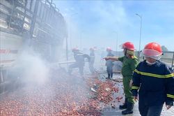 Xe tải chở 10 tấn mận cháy rụi trên cao tốc Diễn Châu - Bãi Vọt