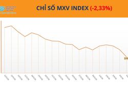 Dòng tiền 'xoay quanh' cà phê, MXV-Index giảm 2,3% trong tuần đầu tháng 6