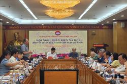 Đảm bảo lợi ích tốt nhất của trẻ em được nhận làm con nuôi