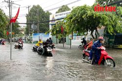 Chủ động phòng ngừa, ứng phó sự cố chất thải trong mùa mưa