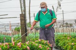 Nông dân Việt dần thích nghi thời đại số