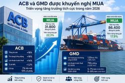 Định giá cổ phiếu ACB, GMD: Cơ hội sinh lời năm 2026