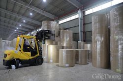 Công nghệ sinh học: Động lực xanh hóa ngành công nghiệp giấy