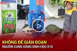 Không để gián đoạn nguồn cung xăng sinh học E10