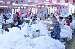 Khai thác tiềm năng từ thị trường nội địa