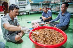 Gỡ 'nút thắt' dòng vốn trong lĩnh vực nông nghiệp