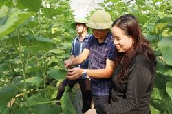 Bắc Ninh ứng dụng công nghệ, phát triển kinh tế nông nghiệp tuần hoàn