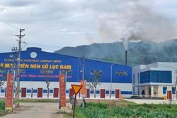 Bắc Ninh: Doanh nghiệp sản xuất viên nén tạm dừng hoạt động do gây ô nhiễm môi trường