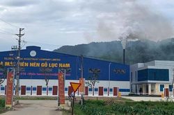 Bắc Ninh: Doanh nghiệp sản xuất viên nén tạm dừng hoạt động do gây ô nhiễm môi trường
