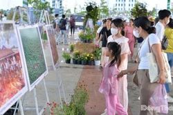 Đông đảo người dân đến tham quan Triển lãm ảnh 'Nét đẹp miền sông nước'