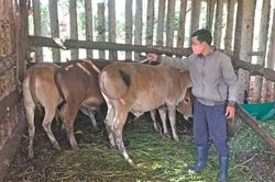 Thú y cấp xã được hưởng phụ cấp hằng tháng bằng 1,5 lần mức lương tối thiểu vùng