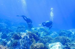 Giữ gìn 'kho báu' của biển