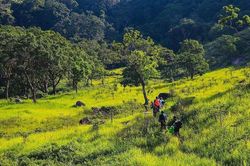 Chấn chỉnh hoạt động trekking, camping tự phát tại Vườn Quốc gia Núi Chúa - Phước Bình