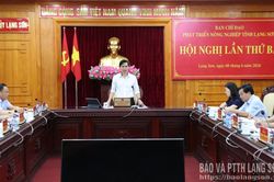 Đánh giá tình hình triển khai công tác phát triển nông nghiệp