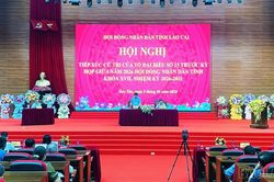 Tổ đại biểu số 15 HĐND tỉnh tiếp xúc cử tri trước kỳ họp giữa năm 2026