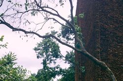 Nghệ sĩ Việt và hành trình từ nghèo khó đến sở hữu biệt phủ nghìn mét vuông