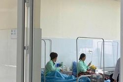 Lâm Đồng báo động nguy cơ ngộ độc nấm mùa mưa