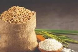 Giá lúa gạo ngày 8/6: Thị trường ổn định, gạo xuất khẩu Việt Nam neo ở mức cao