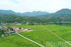 Xuân Đài tạo nền tảng phát triển nông nghiệp bền vững