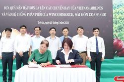 Nông nghiệp hữu cơ - hướng đi bền vững cho nông dân vùng biên