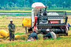 Hơn 60% dư nợ tập trung cho lĩnh vực nông nghiệp, nông thôn