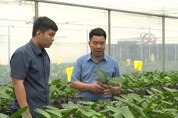 Hội Nông dân Việt Nam: Mục tiêu có thêm 5.000 doanh nghiệp nông nghiệp