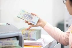 Tân Cảng, VPD, Nam Long đồng loạt chia cổ tức, Novaland thưởng cổ phiếu