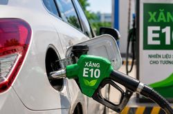 Bộ Công Thương: Tuyệt đối không để gián đoạn nguồn cung xăng sinh học