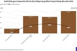 Campuchia xuất khẩu gần 569.000 tấn gạo trong 5 tháng đầu năm