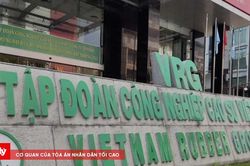 Vì sao Tập đoàn Cao su Việt Nam vẫn giữ tư cách đại chúng dù chưa đạt chuẩn?