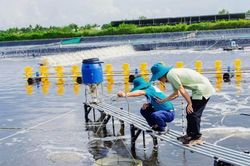Th&aacute;o gỡ 'điểm nghẽn' của chuỗi gi&aacute; trị ng&agrave;nh t&ocirc;m