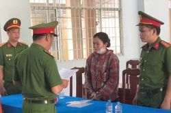 Lừa vay tiền đáo hạn ngân hàng, chiếm đoạt hơn 18 tỷ đồng