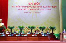 Phát huy vai trò chủ thể của nông dân trong tổ chức hội