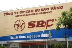 Lãi quý I tăng trưởng hơn 240%, Cao su Sao Vàng (SRC) sắp chốt quyền nhận 'combo' cổ tức tiền mặt và cổ phiếu thưởng