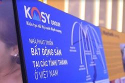Lãi ròng quý đầu năm vỏn vẹn 3 tỷ đồng, Kosy (KOS) vẫn đề ra mục tiêu lợi nhuận tăng 531%
