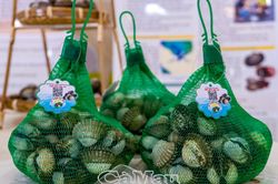 Khẳng định thương hiệu sò huyết Cà Mau