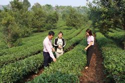 Sơn La phát huy hiệu quả nguồn vốn tín dụng chính sách trong giai đoạn mới