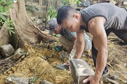 Phát hiện gần 40 hài cốt thai nhi nằm rải rác ở các gốc cây, bờ tường tại Ninh Bình
