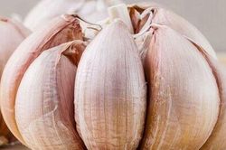 Tỏi bán đầy chợ nhưng có 4 củ này đừng mua rất phí tiền, biết rồi nhớ báo mọi người cùng biết nhé!