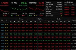 Chứng khoán đỏ lửa, VN-Index lùi sâu dưới mốc 1.800 điểm