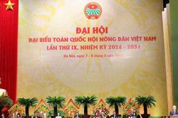 Đẩy mạnh kinh tế nông nghiệp theo chuỗi giá trị, nâng cao năng lực cạnh tranh của nông sản