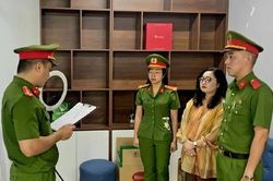 Nữ giám đốc công ty bất động sản lừa đảo hơn 12 tỷ đồng từ bán 'lúa non'