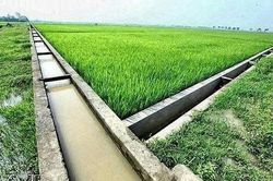 Xã Kiến Đức nâng cao hiệu quả hệ thống thủy lợi, chủ động thích ứng với biến đổi khí hậu
