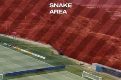 Bi hài World Cup 2026: Rắn kịch độc 'bao vây' sân tập tuyển Thụy Sỹ