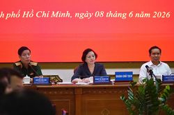 Cần làm rõ 3 vấn đề trước khi khai quật hài cốt liệt sĩ ở Công viên Lê Thị Riêng