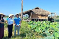 Nông dân Thủ đô sản xuất nông nghiệp sạch, bảo vệ môi trường vì sức khỏe cộng đồng