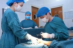Gieo mầm xanh cho trẻ em khuyết tật Điện Biên