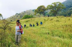 Tự ý tổ chức trekking ở Vườn quốc gia Núi Chúa - Phước Bình có thể bị xử lý