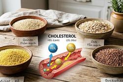 7 loại ngũ cốc nguy&ecirc;n hạt gi&uacute;p cải thiện cholesterol
